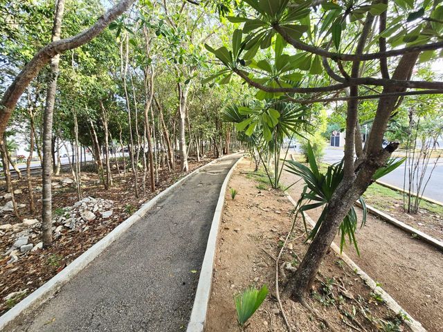 place photo 21