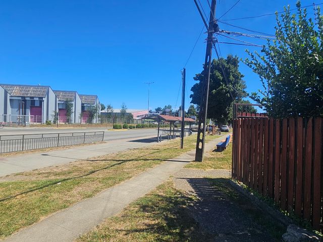place photo 11
