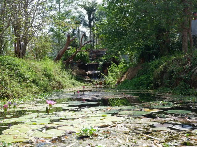 place photo 29