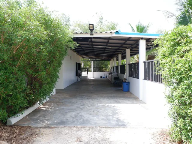 place photo 31