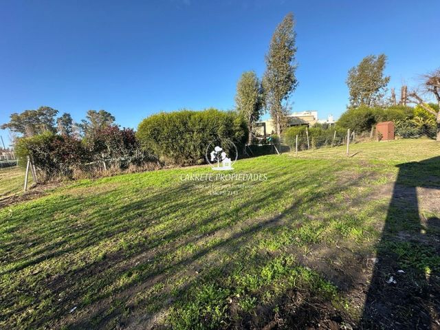 place photo 29