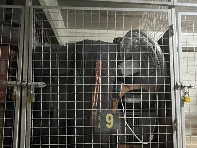 place photo 19