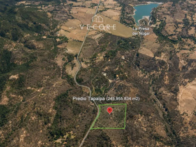 place photo 14