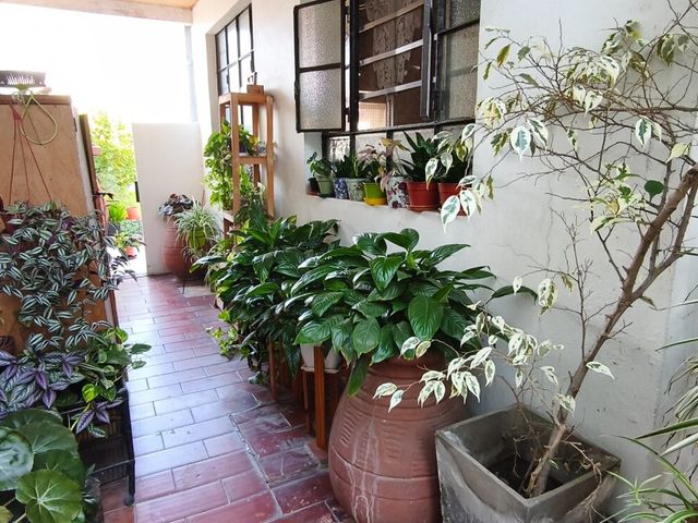 place photo 33