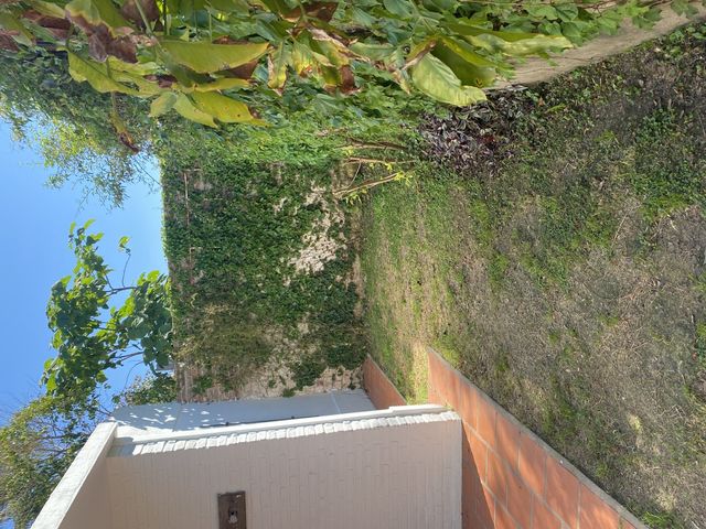 place photo 76