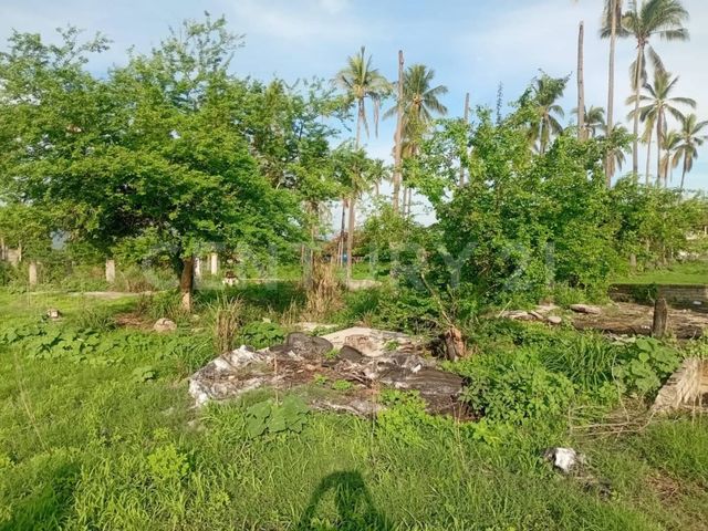 place photo 9