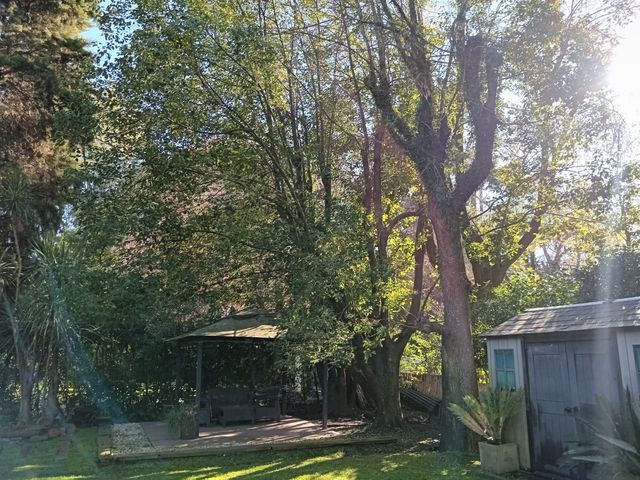 place photo 64
