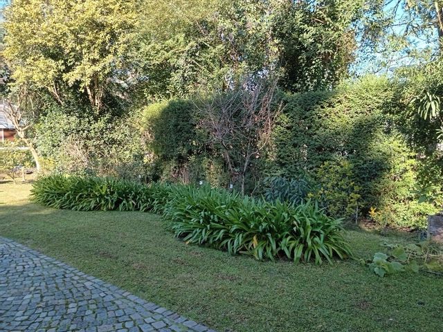 place photo 67