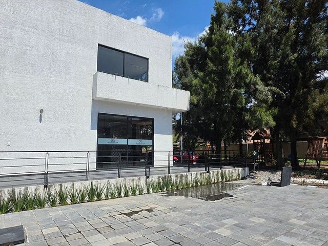 place photo 34
