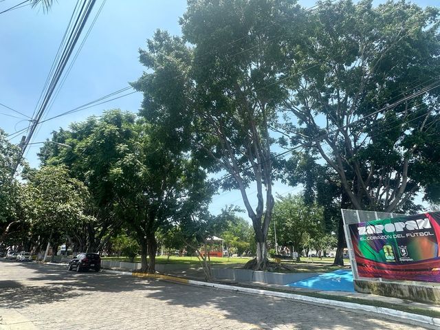 place photo 23
