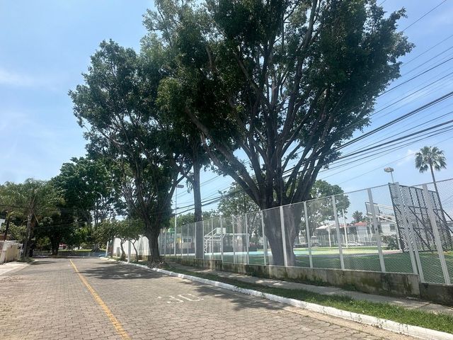 place photo 26