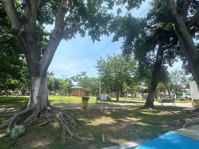 place photo 22