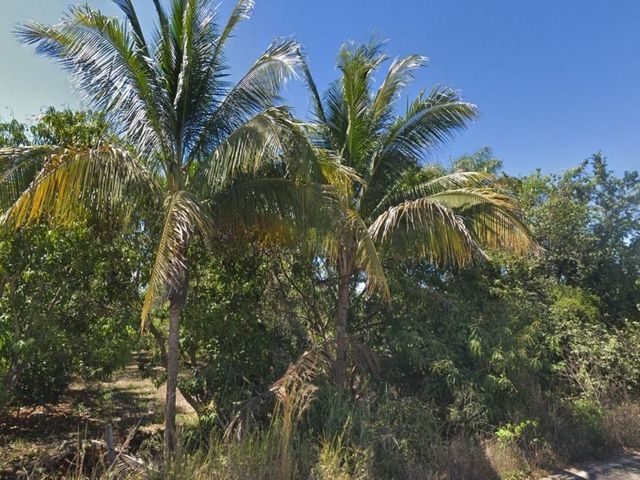 place photo 4