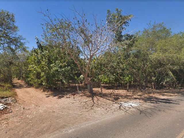 place photo 5