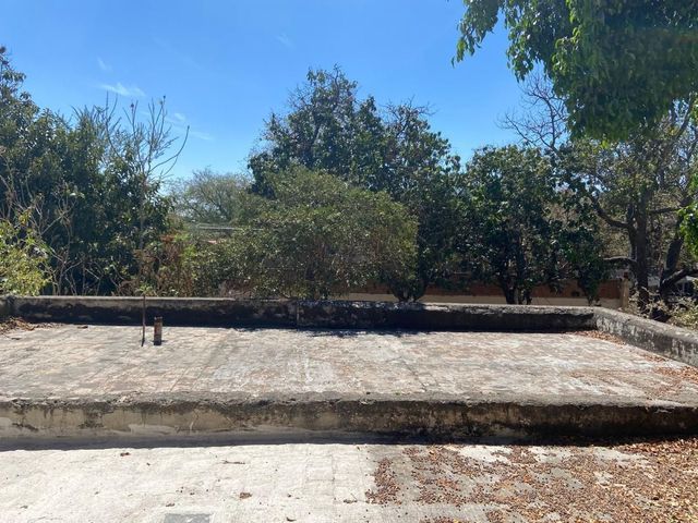 place photo 16