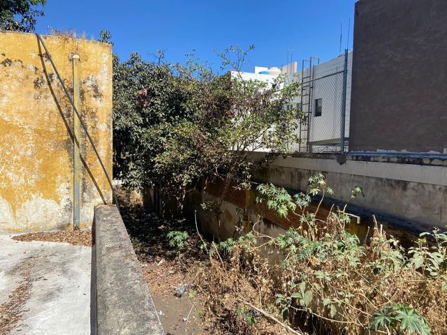 place photo 18