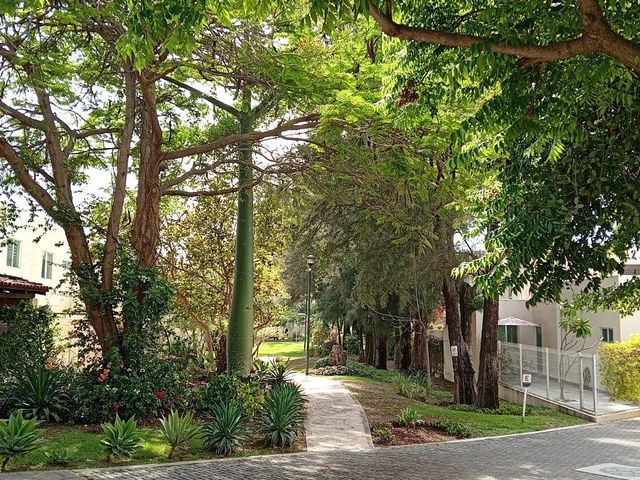 place photo 32