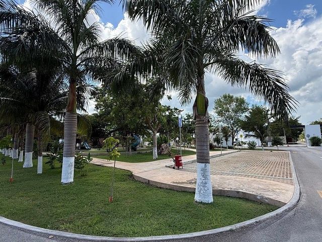place photo 14