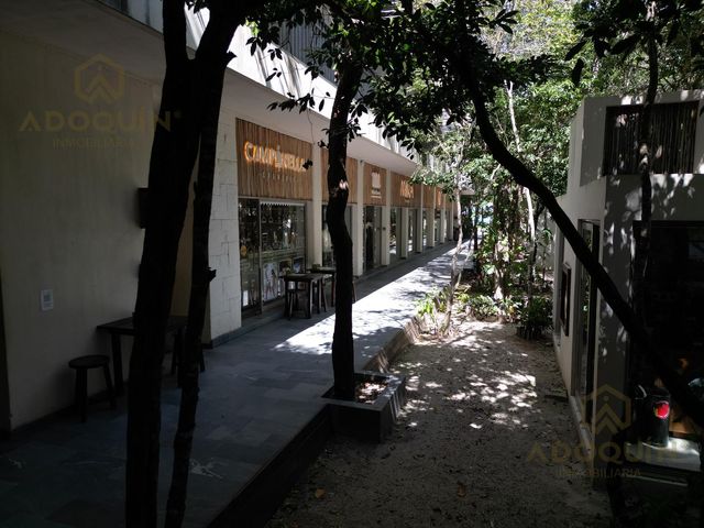 place photo 36