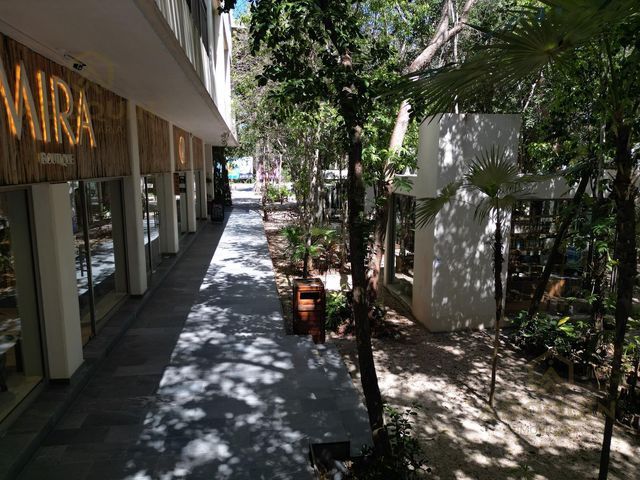 place photo 39