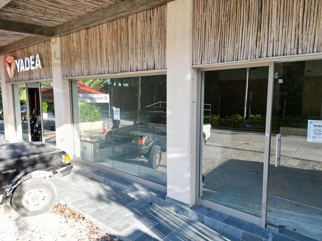 place photo 52