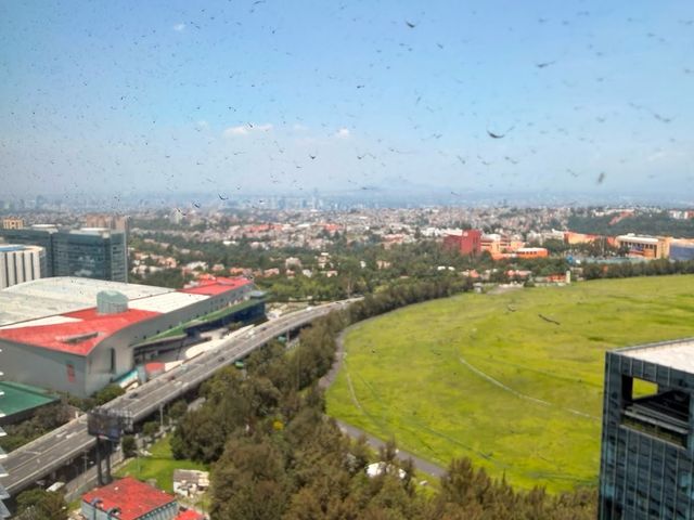 place photo 32