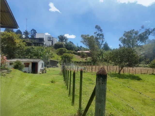 place photo 48