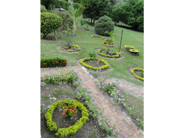 place photo 23