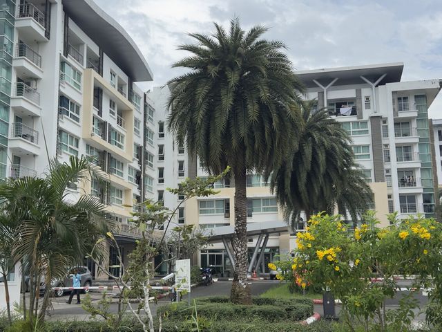 place photo 15