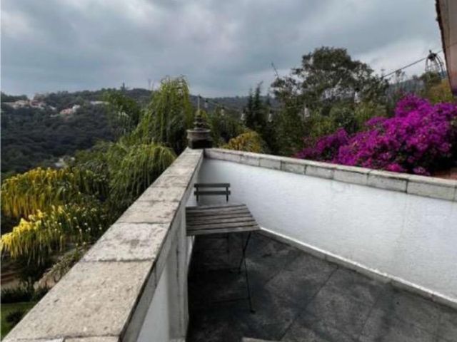 place photo 41