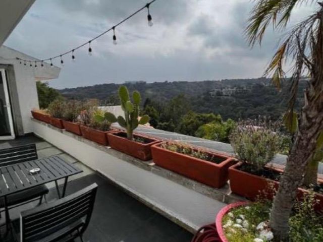 place photo 47