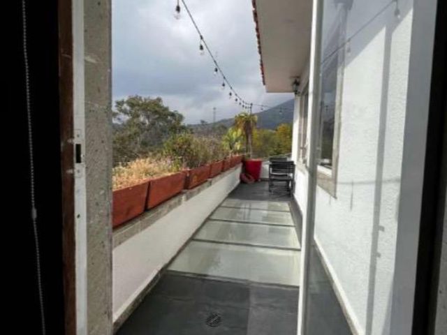 place photo 46