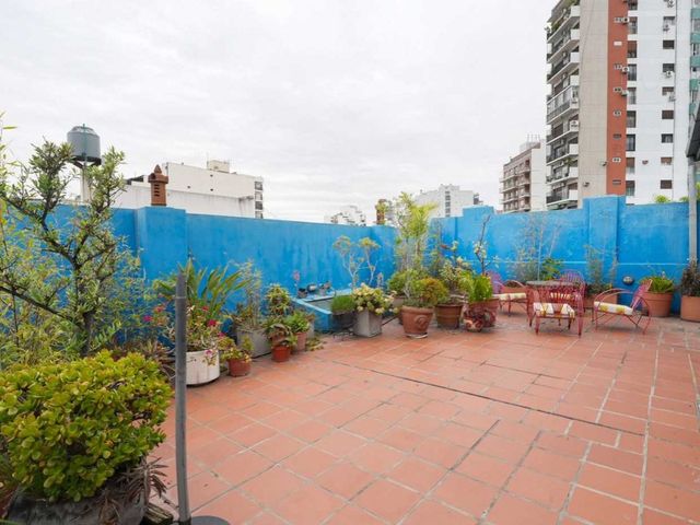 place photo 32