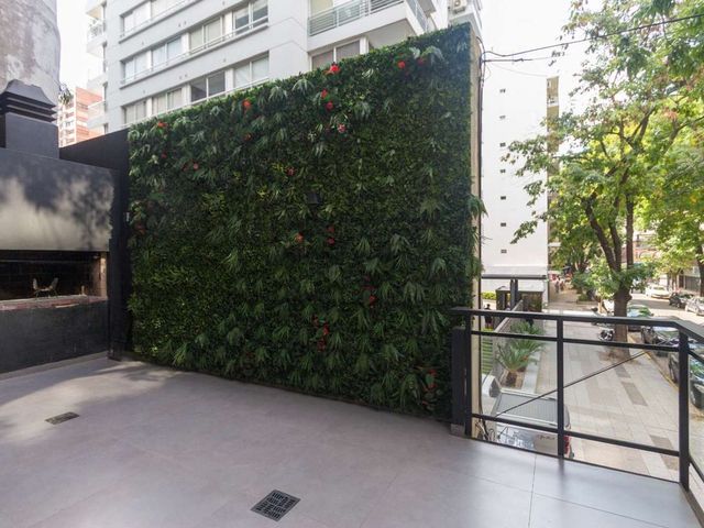 place photo 29