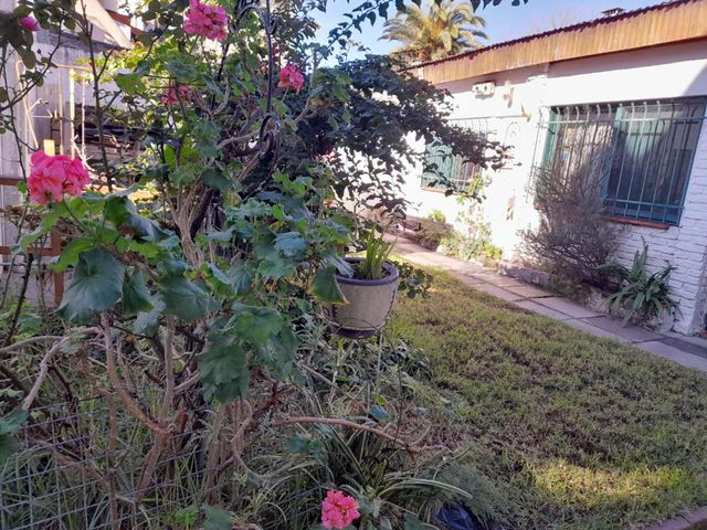 place photo 44