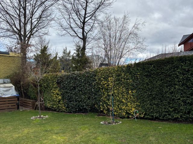 place photo 35