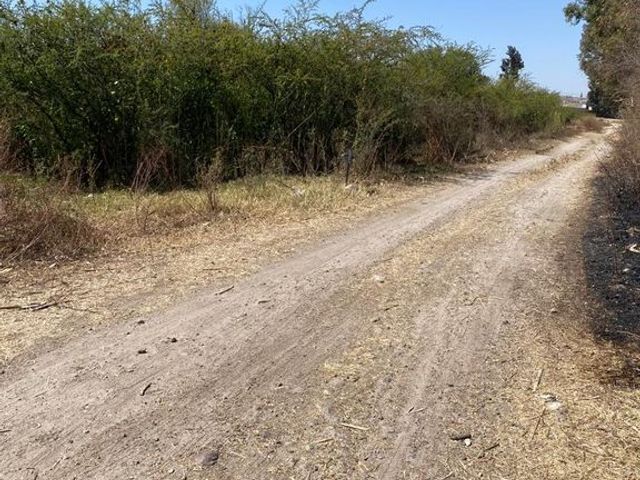 place photo 21