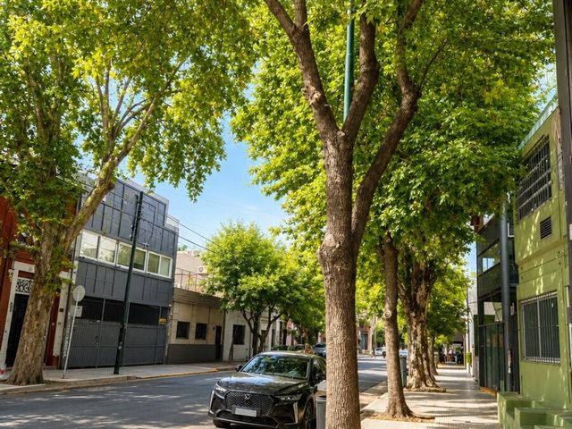place photo 28