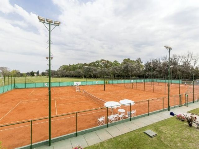place photo 26