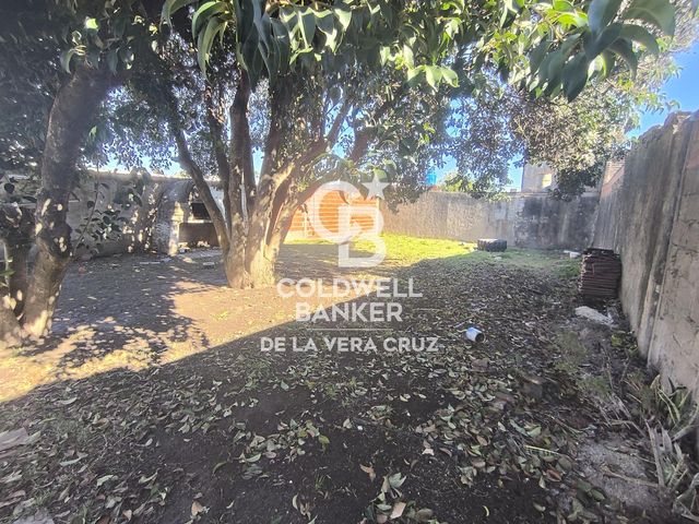 place photo 22