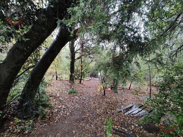 place photo 47