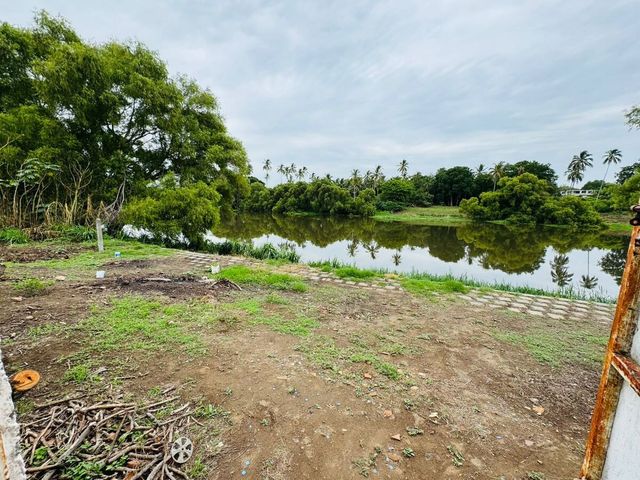 place photo 44