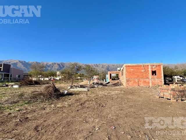 place photo 20