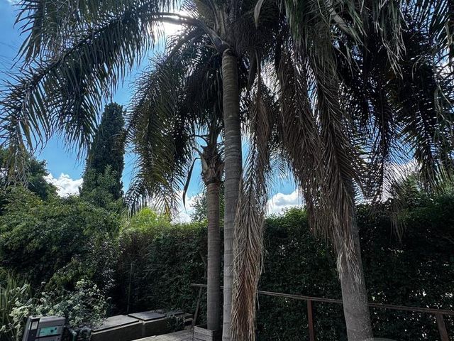 place photo 45