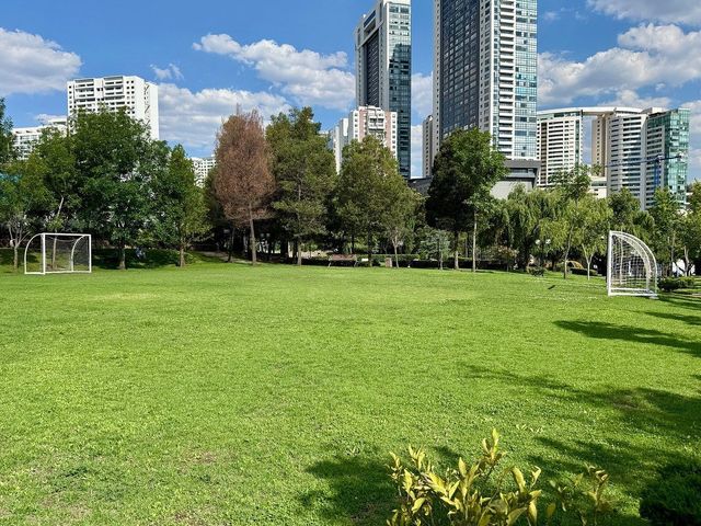 place photo 32
