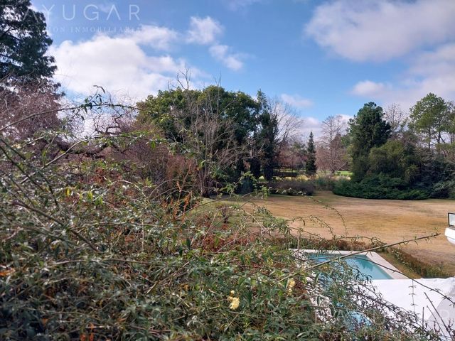place photo 41