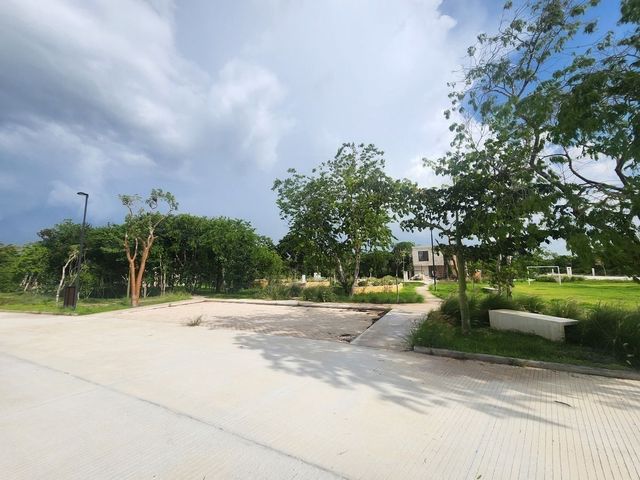 place photo 13