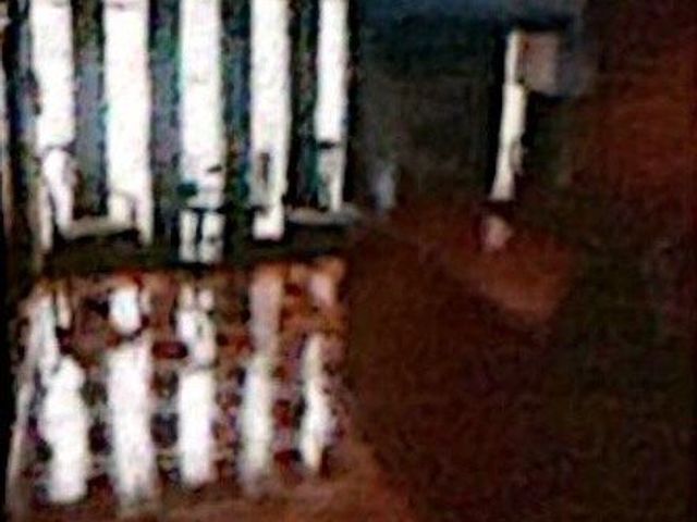 place photo 35