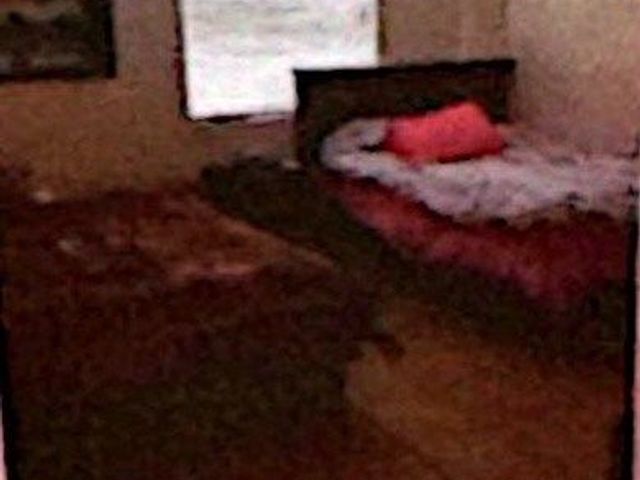 place photo 22