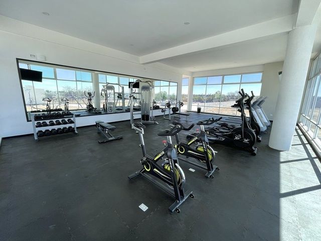 place photo 37